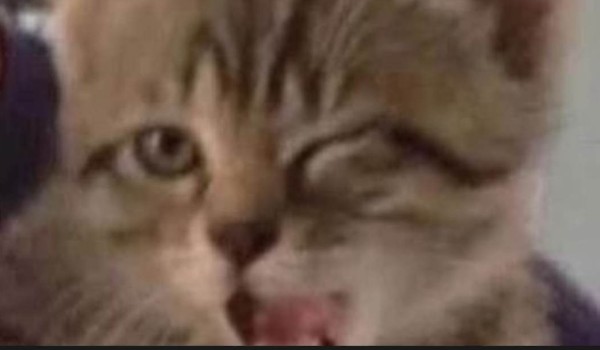 Sprawdź jur lodżik in dys test