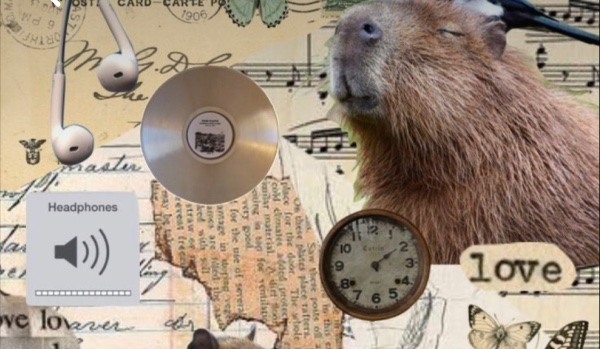 Jaką kapibarą jesteś