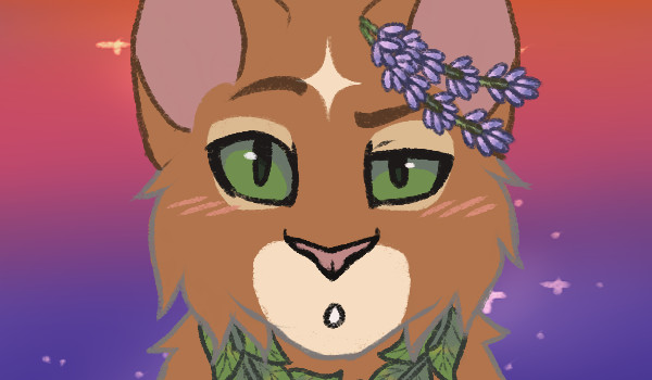 jak mam was nazywać2