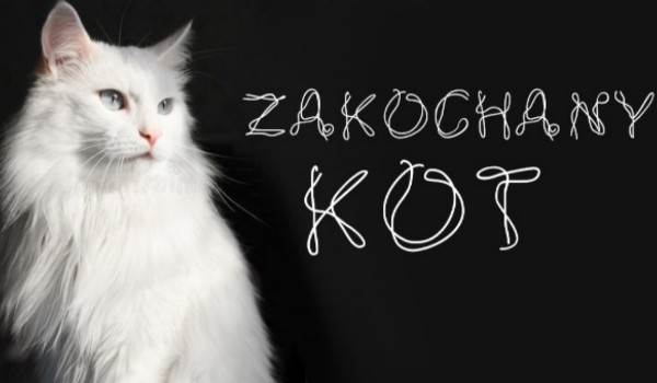 Zakochany kot #2