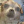 Mr_makrela