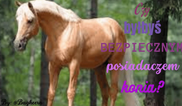 Czy byłbyś bezpiecznym posiadaczem konia?