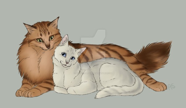 Życie Fiołkowej Gwiazdy {Chapter I}