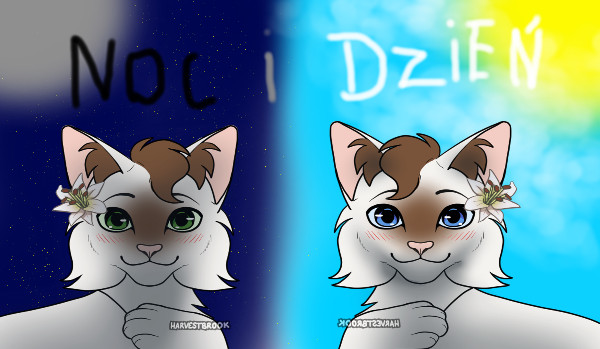 Noc i Dzień rozdział2