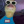 Ducky_Duck