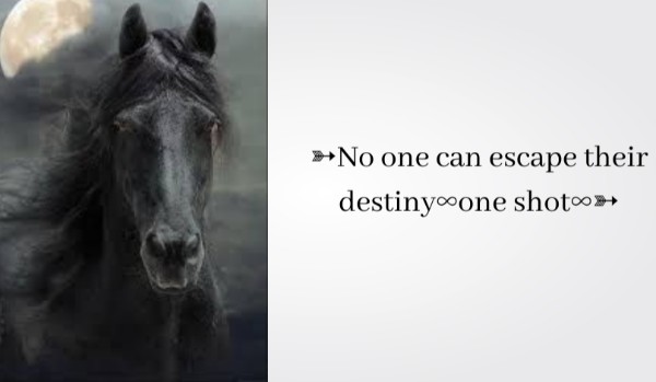 ➳No one can escape their destiny∞one shot∞➳