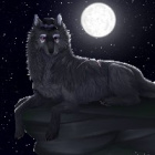fpKaja_the_wildcraftYT