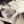 soy_3on