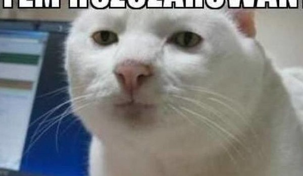 MY I NASZE ODPAŁY | part fajw