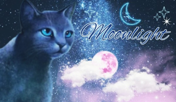 Moonlight|| Część 16