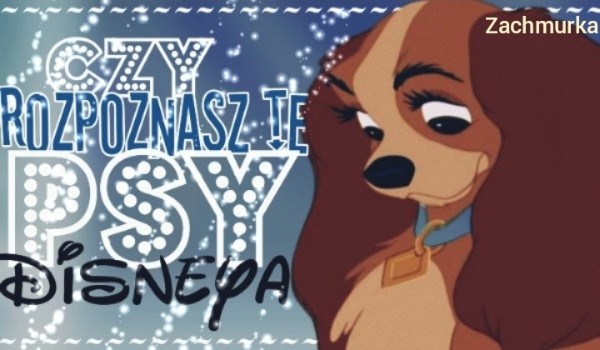 Czy rozpoznasz te psy z Disneya?