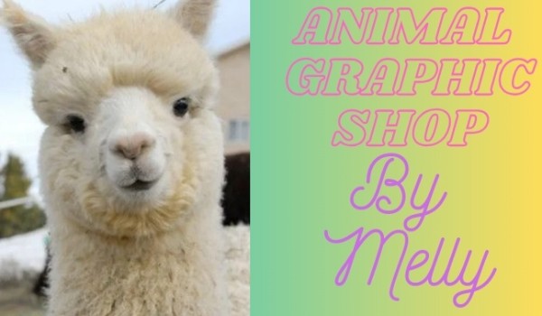 Animal Graphic Shop by Melly