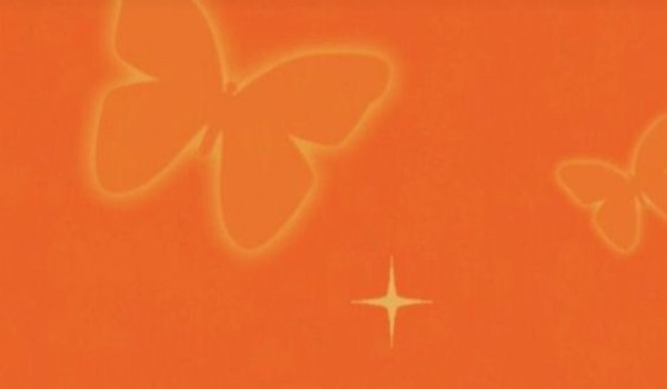 Jak wyobrażam sobie moich obserwatorów