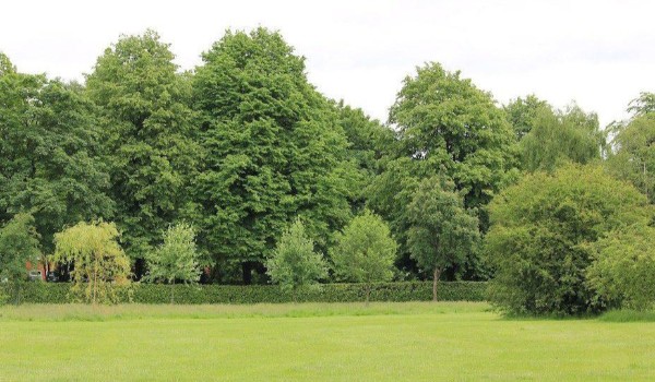 BAJKI DZICIŃSTWA V2