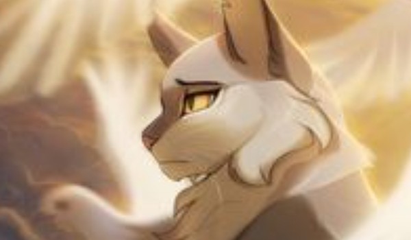 Zapraszam serdecznie ! Poznajcie…