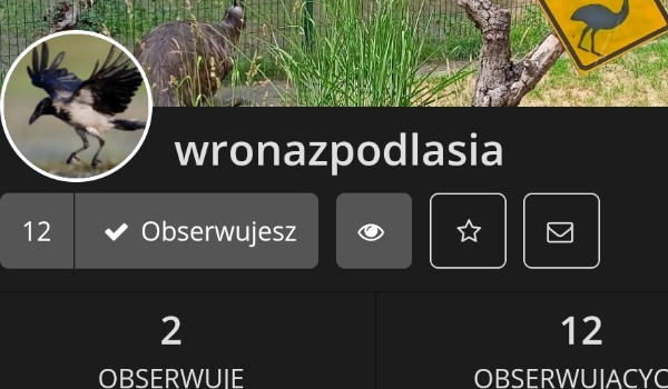 Ocenianie profilu wronazpodlasia