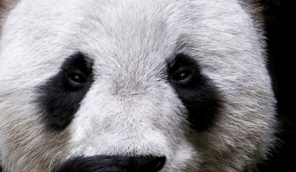 czy jesteś cringowy