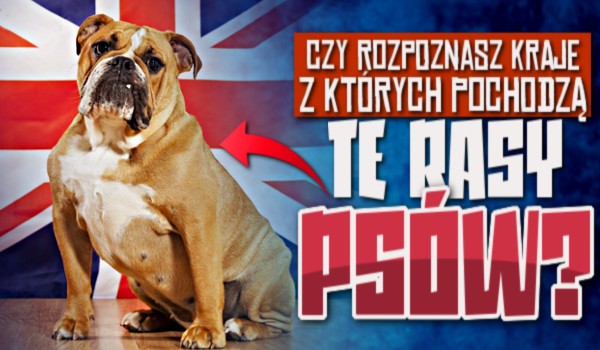 Czy rozpoznasz kraje, z których pochodzą te rasy psów?