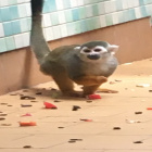 142536637484646747574747757