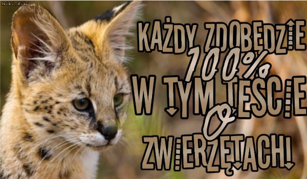 Każdy zdobędzie 100% w tym teście o zwierzętach!