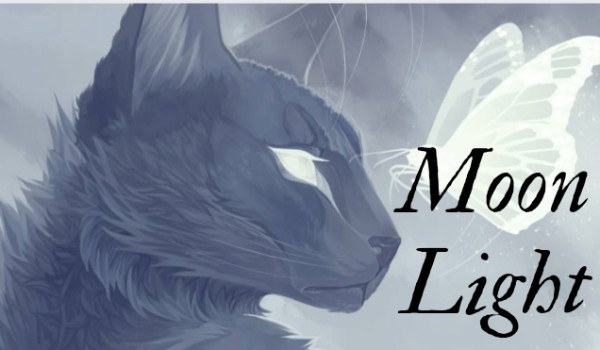 Moon Light |•Chapter Five•|