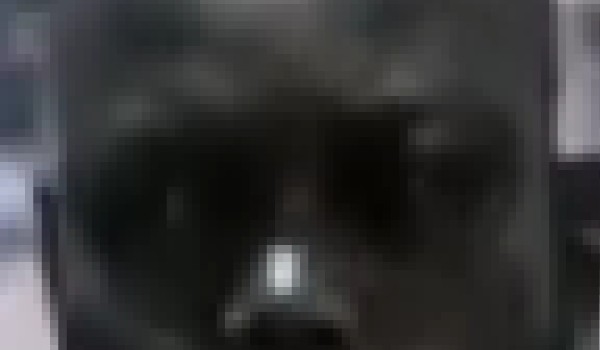 Jakim rodzajem Nigera jesteś