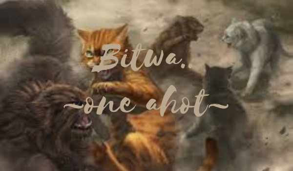 Bitwa ~ One Shot~