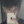 oskarek.sw