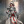 Assassin_Adventures