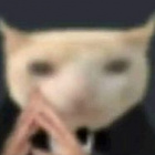 Meowcurrry