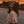 Cali_fornia