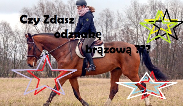 Test na brązową odznakę  jeździecką (pytania z PZJ )