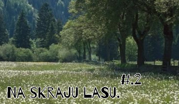Na skraju lasu. #2