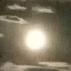 Michelle_Shadow