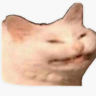 pypypypyp
