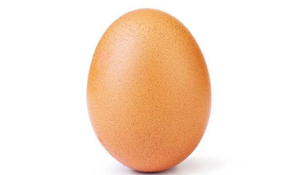 Czy jesteś jajkiem