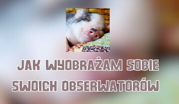 Wyobrażenie: @alexithymia; @No_one.;  @Elfy2