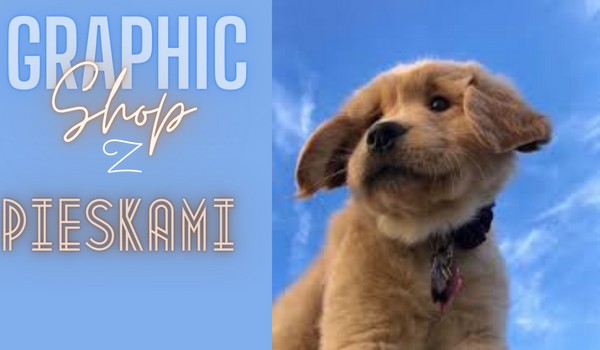 Graphic shop ~ dog edition