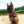 mylovelydogs
