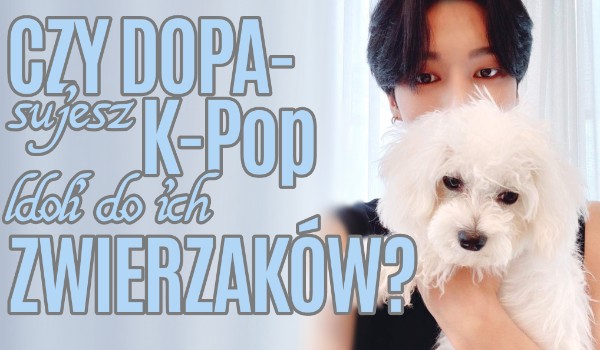 Czy dopasujesz K-POP idoli do ich zwierzaków??