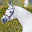 WiktoriaHorse