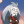 Hunter_owl