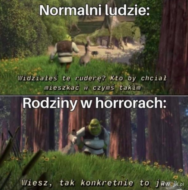 Rel czy memmemy o horrorach . sameQuizy