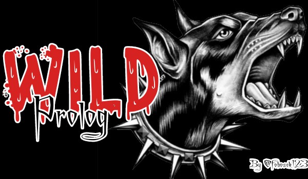 Wild [Prolog]