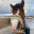 horsw_flux1r