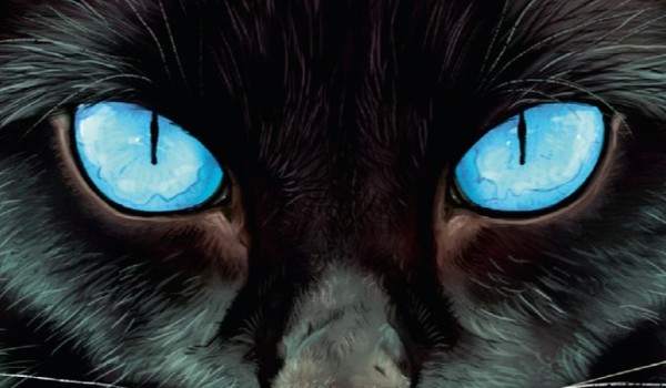 – WOJOWNICY – od pieszczocha do legendy – SUPEREDYCJA –