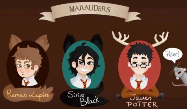 Chat HP era Huncwotów #2