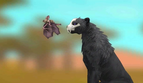 @Kaja_The_WildcraftYT