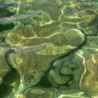 amelapomela