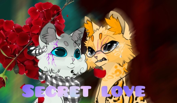 Secret love – rozdział 2